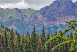 Alaska (40/65)